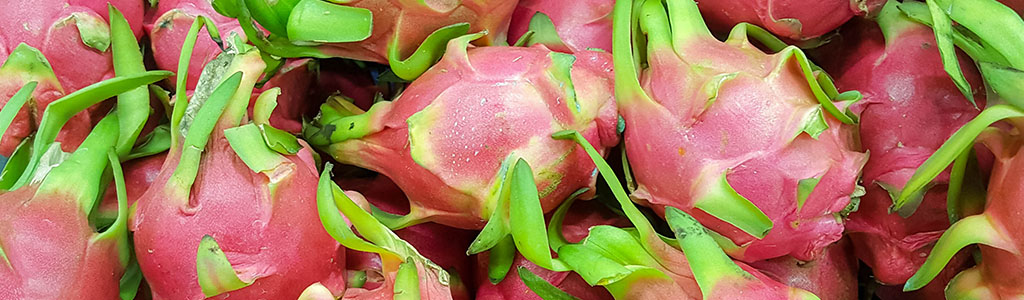 fruta pitaya selenicereus undatus fruta del dragon
